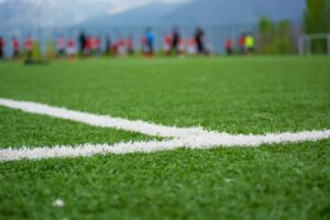 shutterstock 2299464055